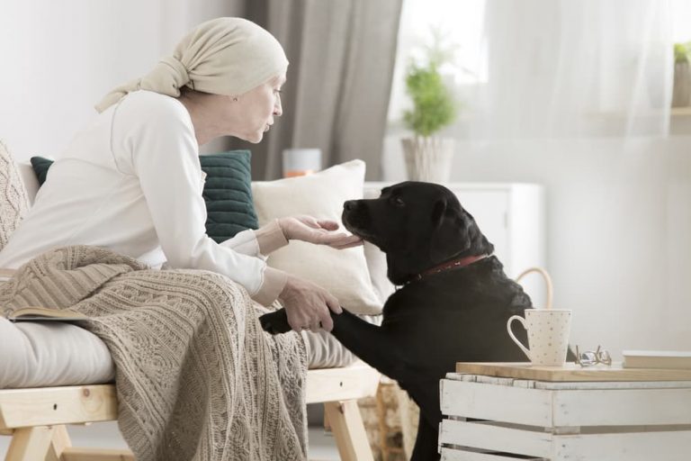 chemo with dog